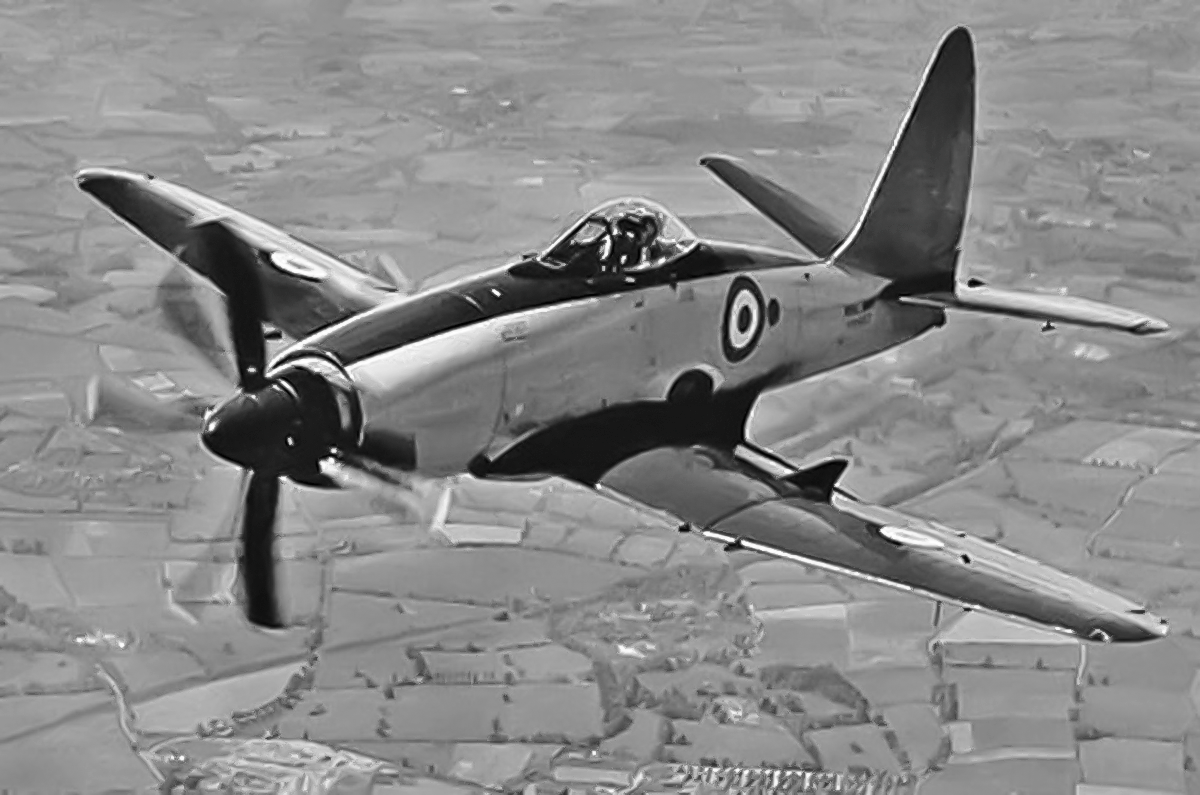  Westland Wyvern