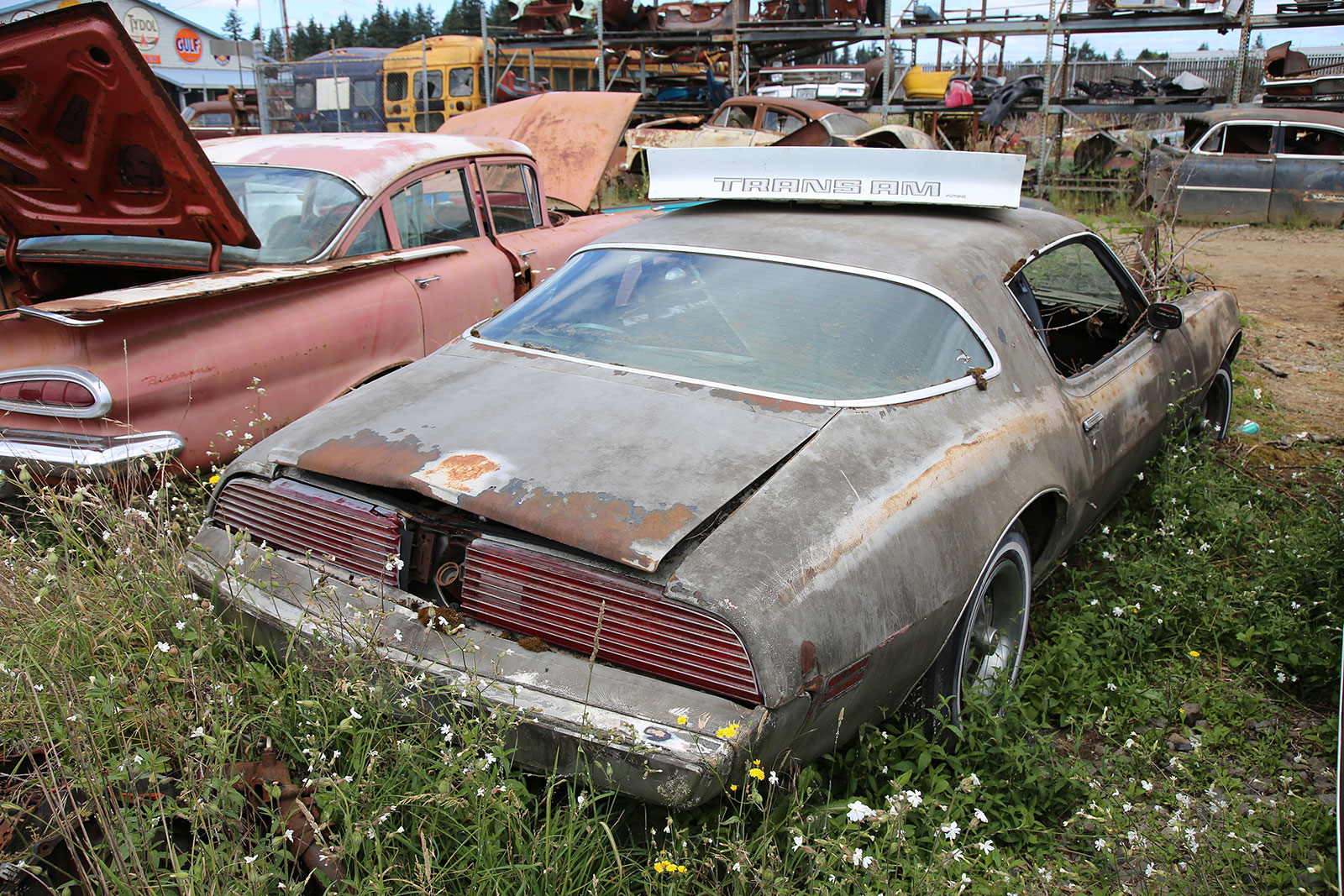 PONTIAC TRANS AM - 1979