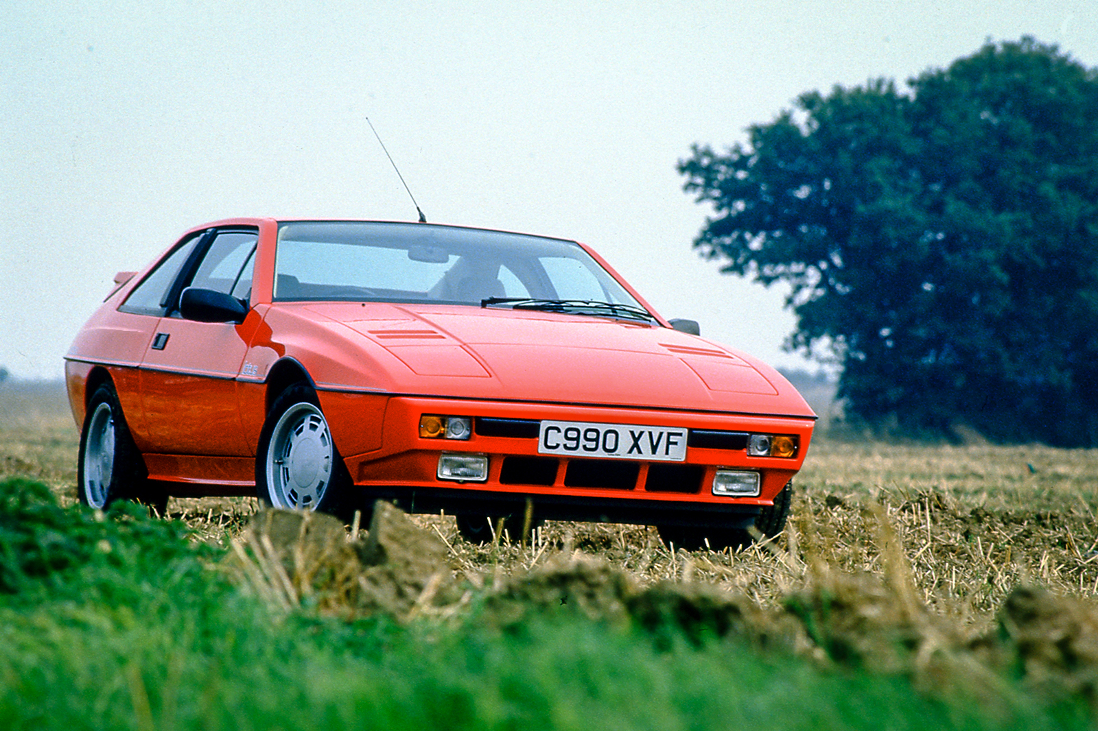   Lotus Excel (1982&ndash;92) &ndash; 1,327 sold