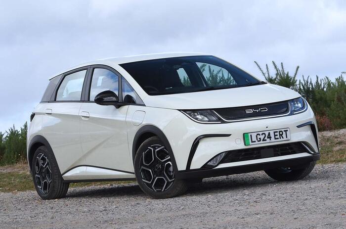 byd dolphin 2024 verdict