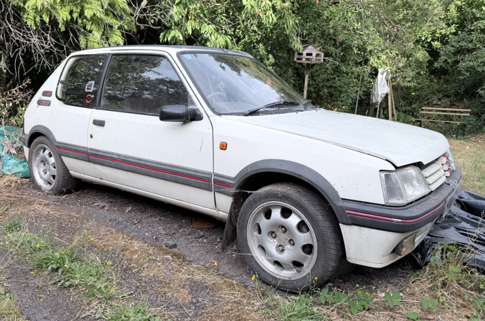 Peugeot 205 lead