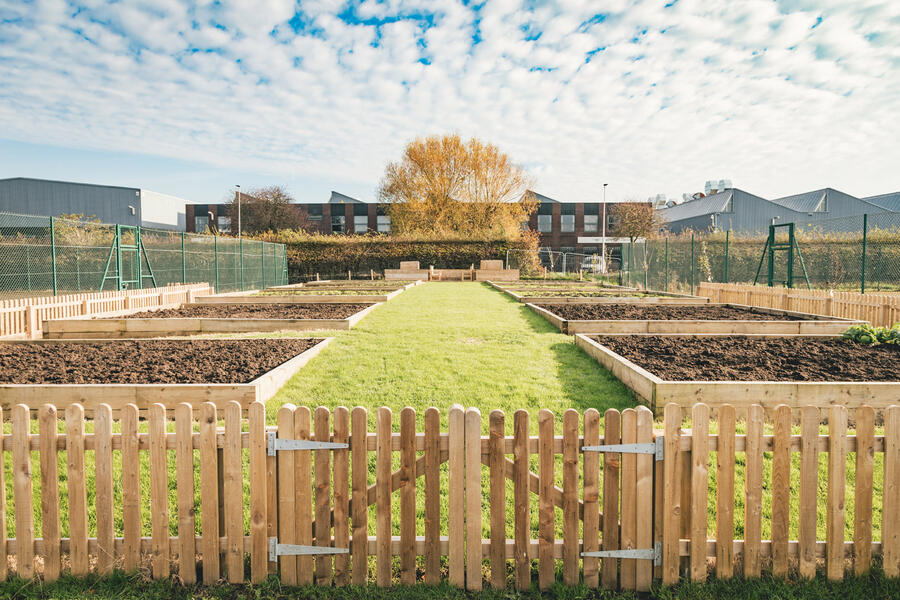 18 Bentley bees and bats