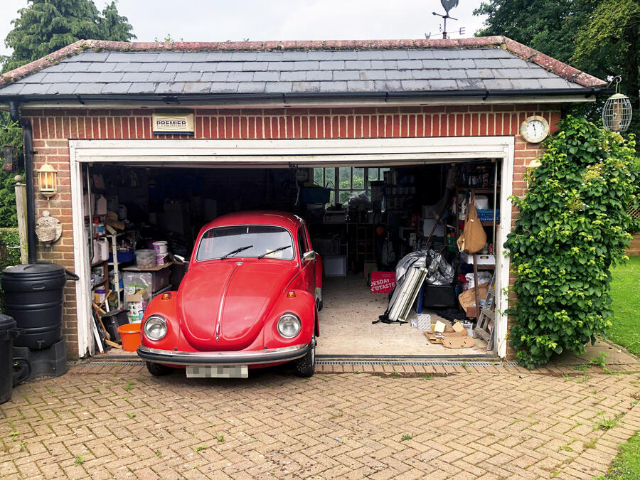 78 2021 Staff highlights felix page beetle