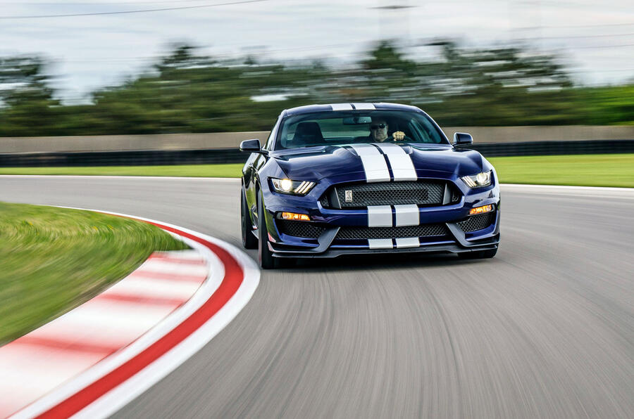 Shelby 2