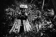 How a Land Rover conquered the world's scariest jungle