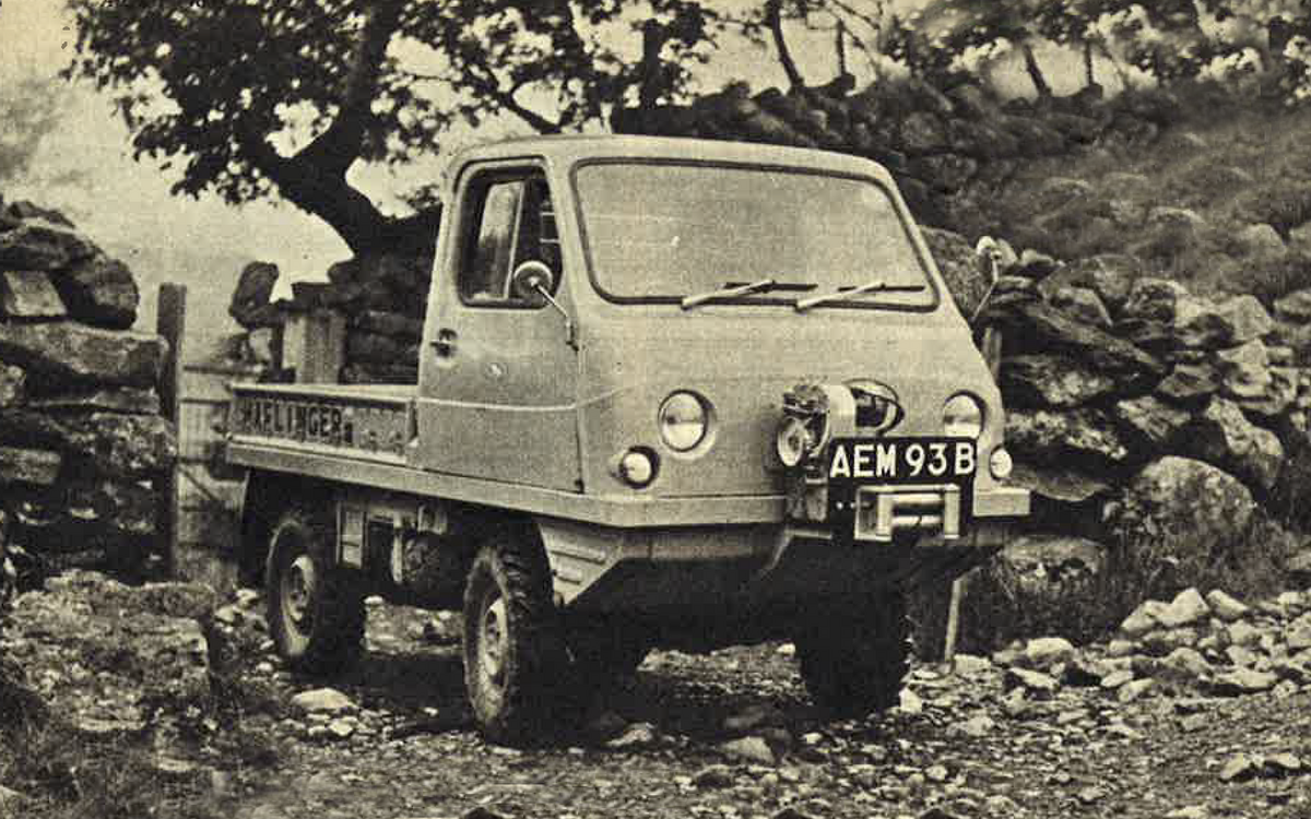 Haflinger (1959) Haflinger (1959)