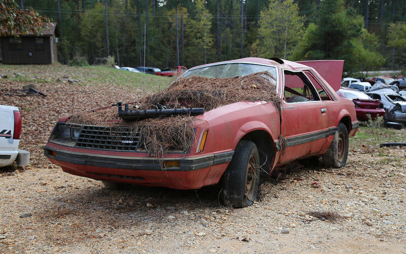 FORD MUSTANG - 1979