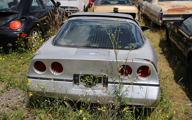 CHEVROLET CORVETTE - 1984