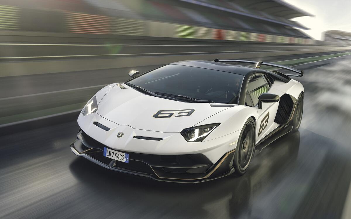 Lamborghini’s fighting bulls Lamborghini’s fighting bulls