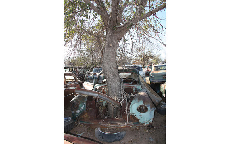 Chevrolet Styleline tree
