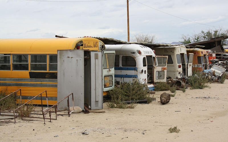 BUSES