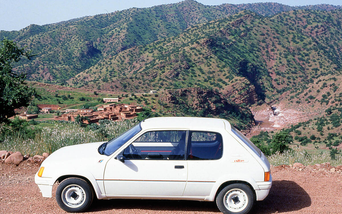 14: PEUGEOT 205 RALLYE (1988)