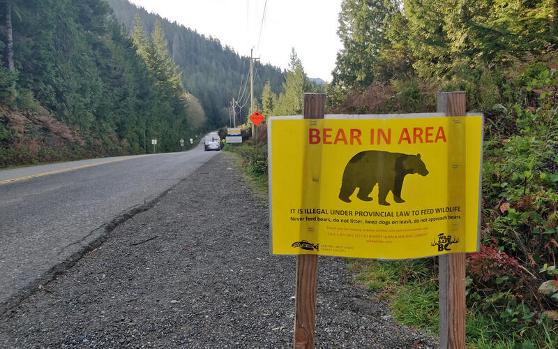 Watch out for wildlife Watch out for wildlife