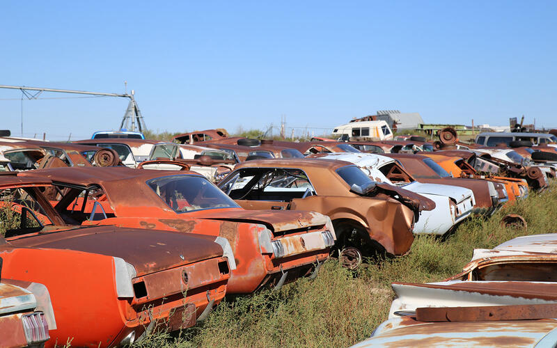 FORD MUSTANGS