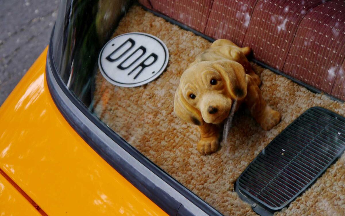 Nodding dog Nodding dog