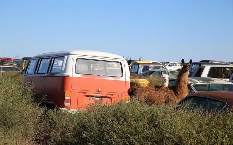 VOLKSWAGEN BUS - 1973
