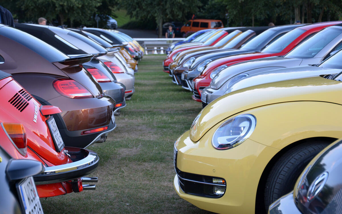 Beetle gatherings Beetle gatherings