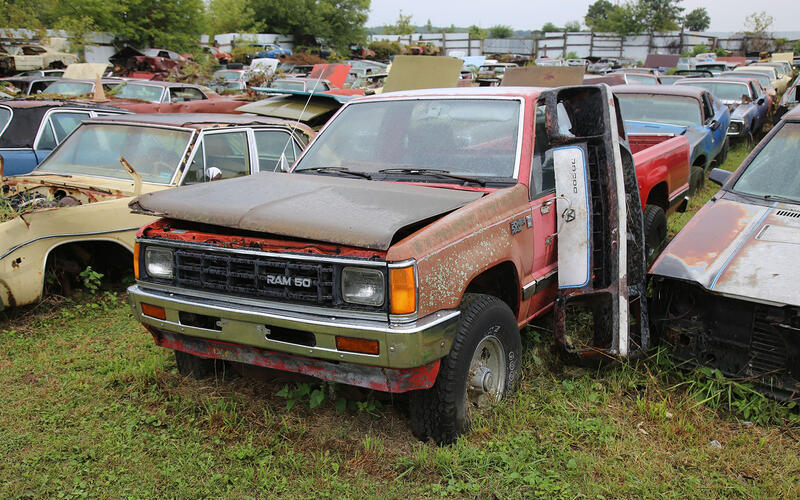 DODGE RAM 50 DODGE RAM 50