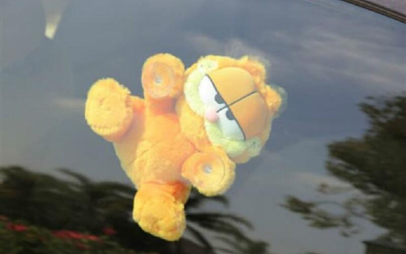 Garfield Garfield