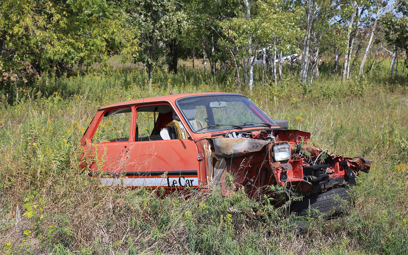 RENAULT LE CAR