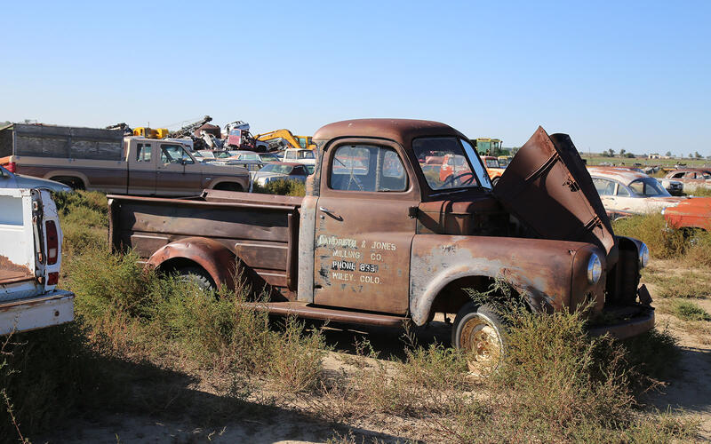 DODGE PICKUP - 1950
