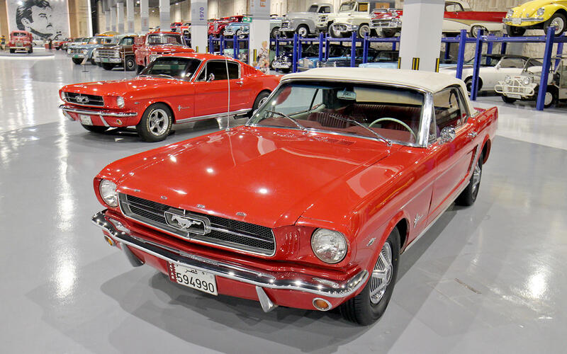 Ford Mustangs