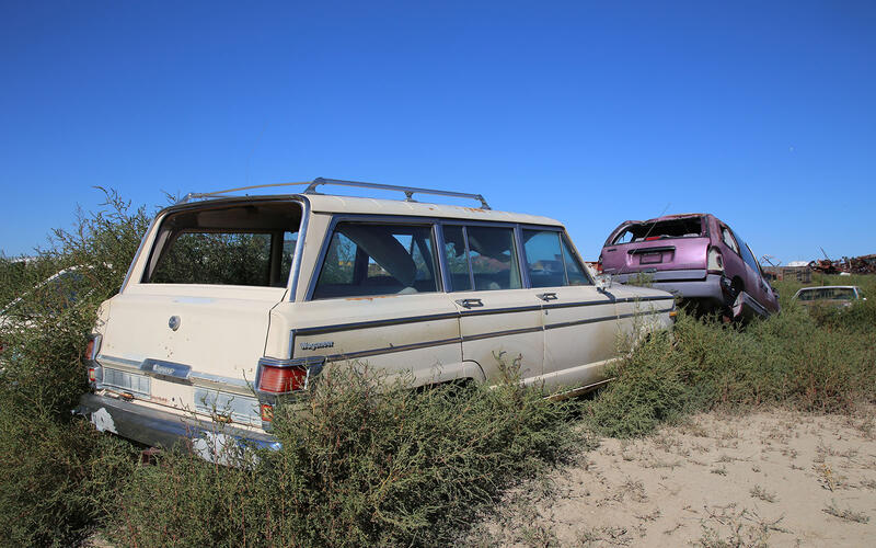 JEEP WAGONEER - 1981