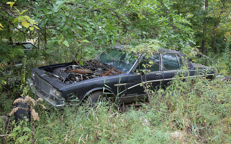 PONTIAC PARISIENNE - 1985 PONTIAC PARISIENNE - 1985