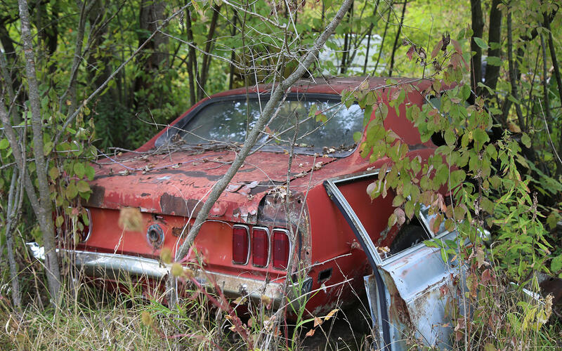 FORD MUSTANG - 1969 FORD MUSTANG - 1969