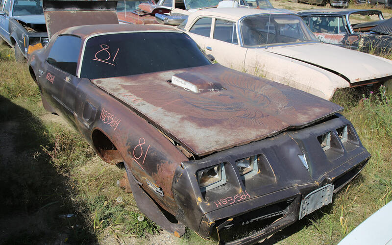 PONTIAC TRANSAM - 1981