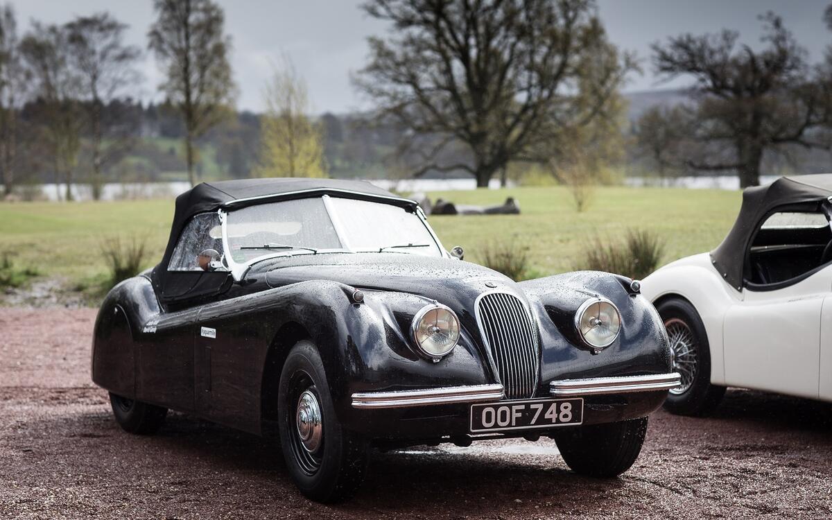 Jaguar (1947) Jaguar (1947)