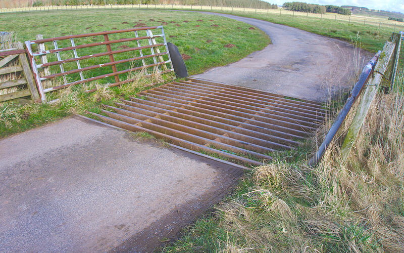 Texas Gate Texas Gate