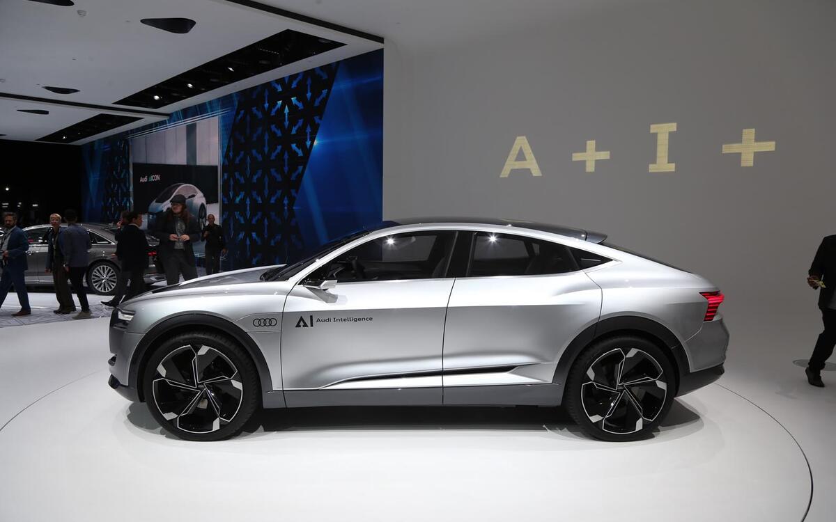 Audi Elaine Audi Elaine