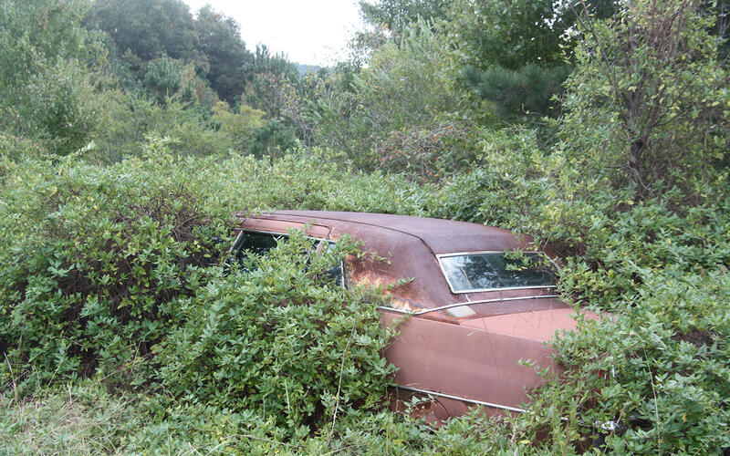 1970 Cadillac Fleetwood 75 