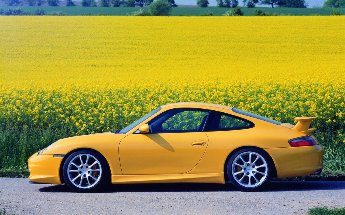 Porsche 996 911 GT3 (1999) Porsche 996 911 GT3 (1999)