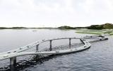 'Switchover' bridge revealed