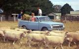History of Holden - picture special