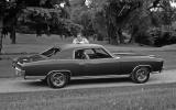 History of the muscle car - picture special
