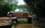 Loeb, Meeke enjoy rally success