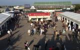 Goodwood Revival 2014 show gallery Goodwood Revival 2014 show gallery