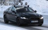 Baby Jaguar spotted - latest pictures