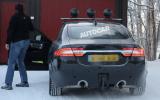 no title Baby Jaguar spotted - latest pictures