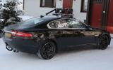 no title Baby Jaguar spotted - latest pictures