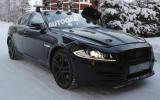 no title Baby Jaguar spotted - latest pictures
