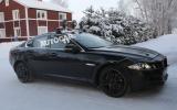 no title Baby Jaguar spotted - latest pictures