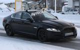 no title Baby Jaguar spotted - latest pictures