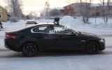 no title Baby Jaguar spotted - latest pictures