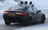 no title Baby Jaguar spotted - latest pictures