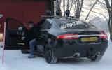 no title Baby Jaguar spotted - latest pictures