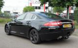 no title Baby Jaguar 18 months away